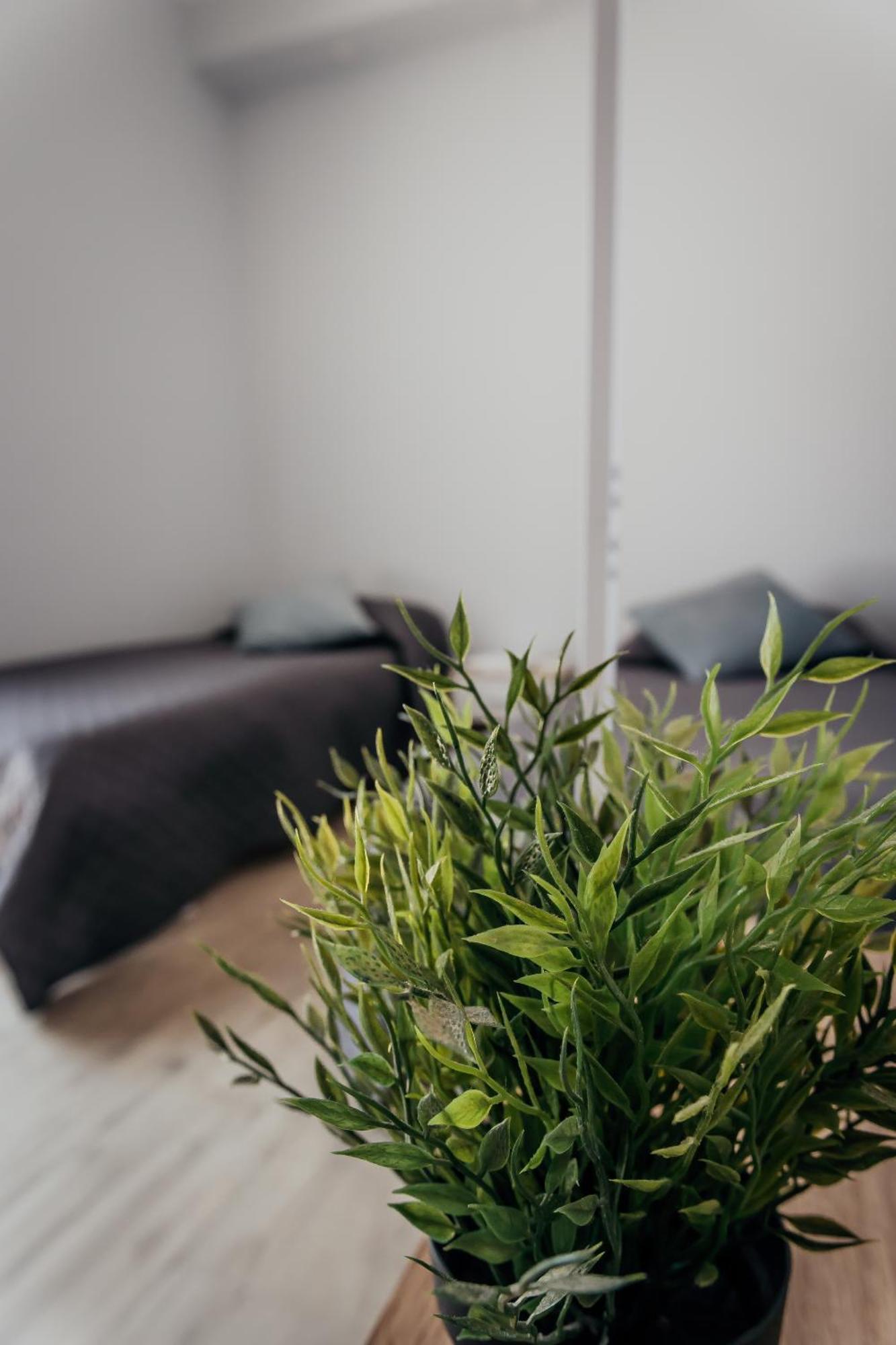 Apartment Fcoairporthouse Fiumicino
